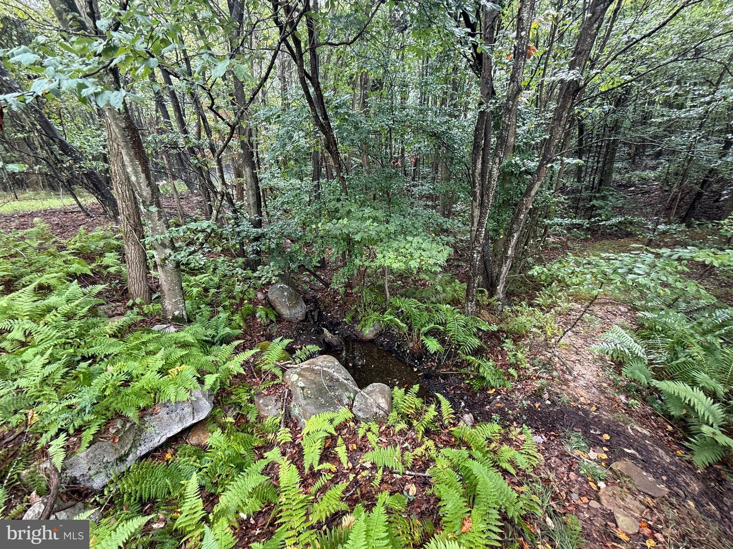 0 Pinnacle Road Property Photo 33