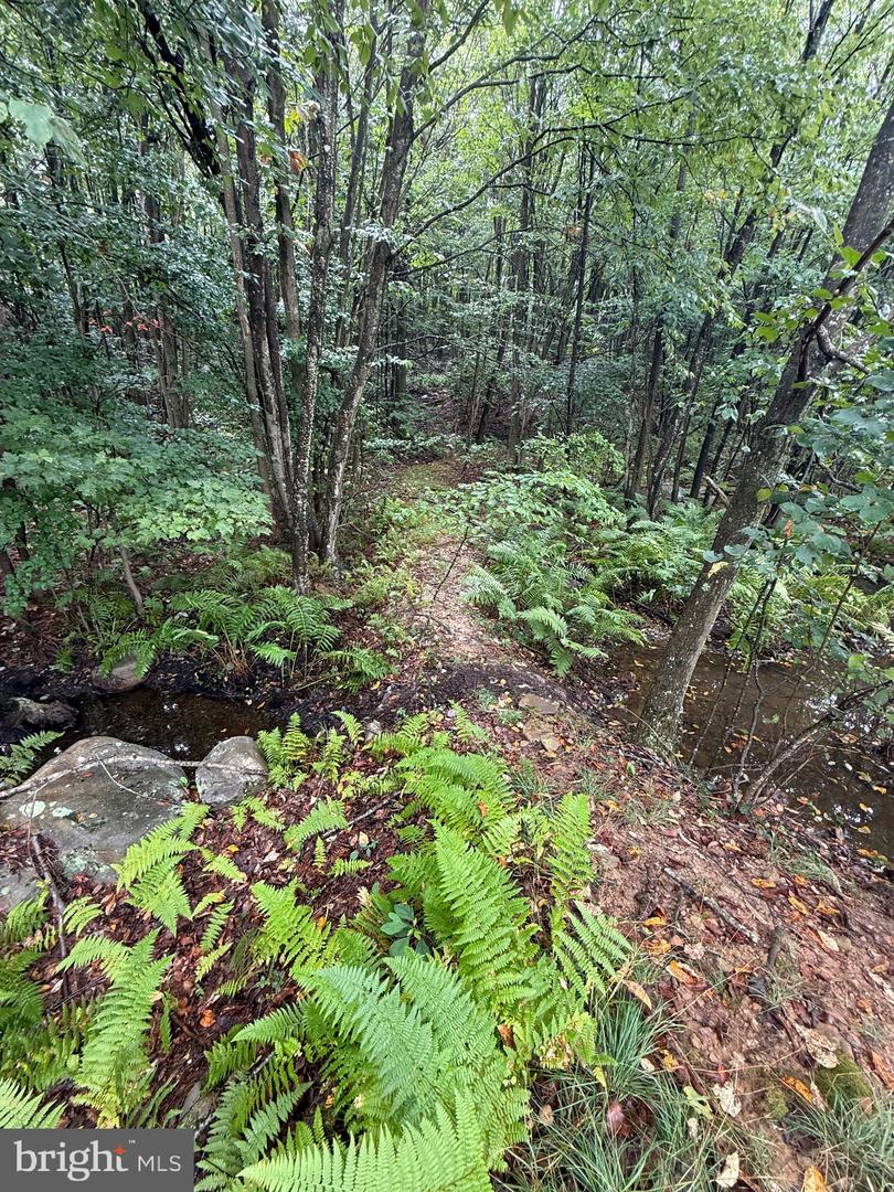 0 Pinnacle Road Property Photo 34