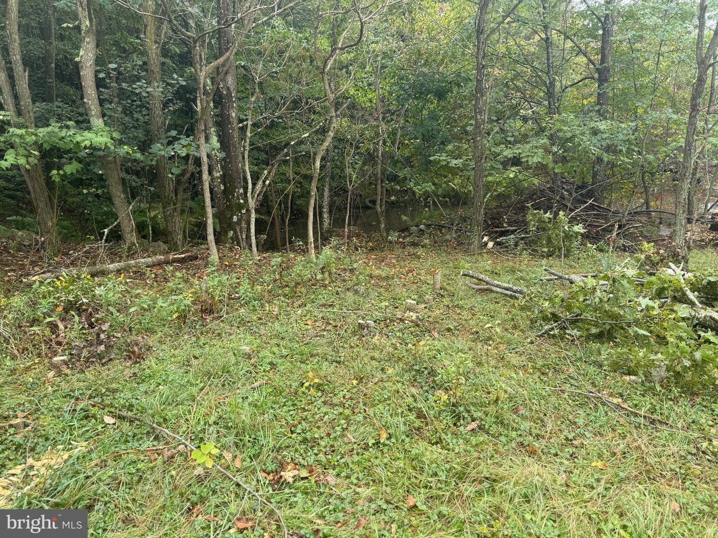 0 Pinnacle Road Property Photo 36