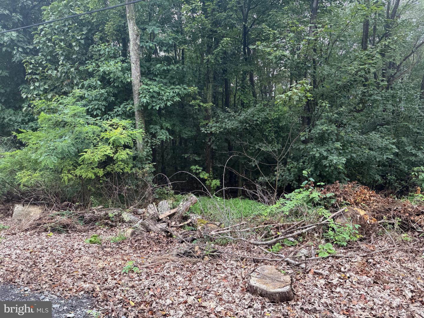 0 Pinnacle Road Property Photo 49