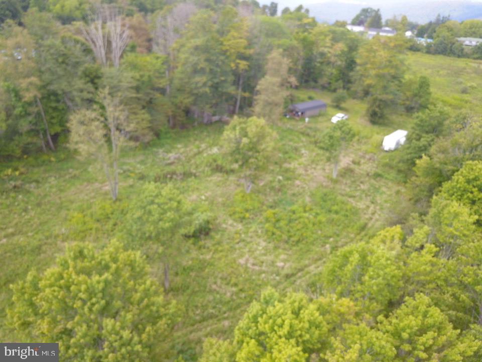 240 Brush Alley Property Photo 6