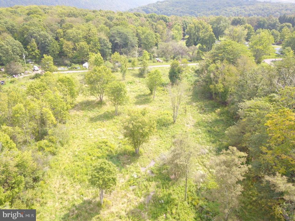 240 Brush Alley Property Photo 7