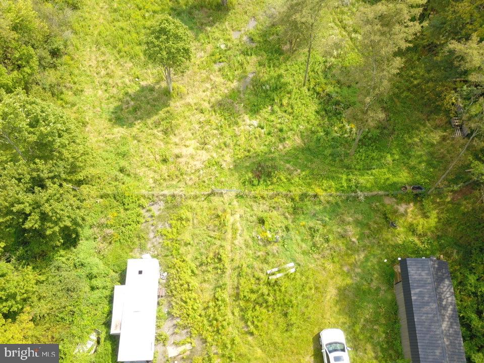 240 Brush Alley Property Photo 9