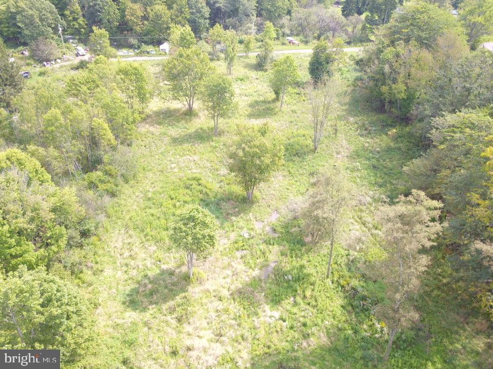 240 Brush Alley Property Photo 10