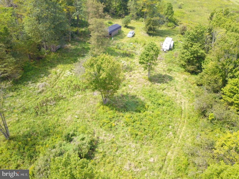 240 Brush Alley Property Photo 11