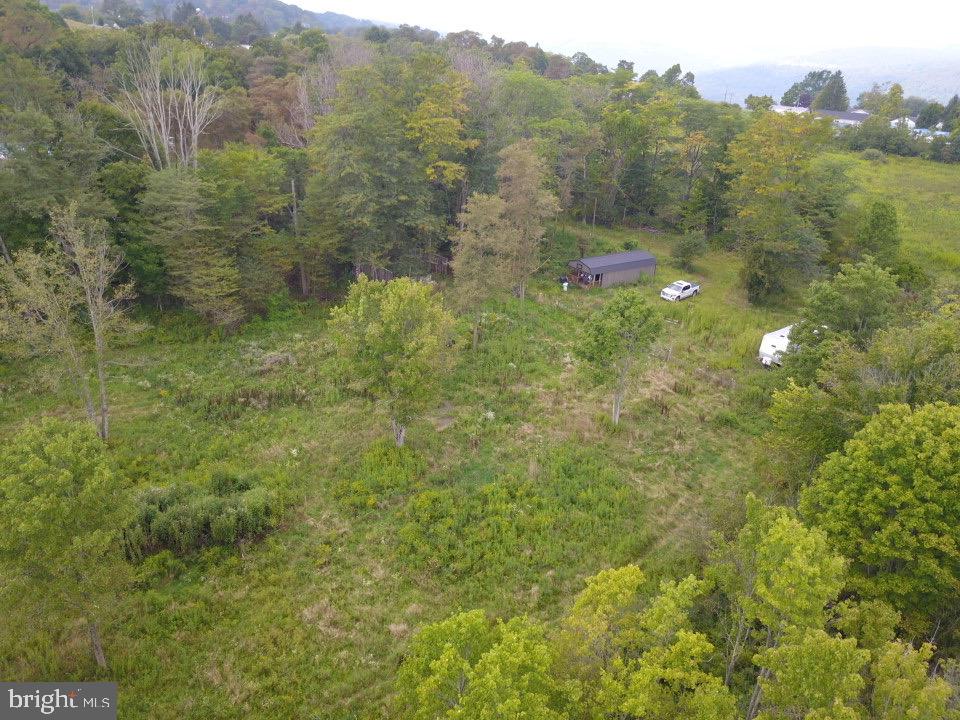 240 Brush Alley Property Photo 13