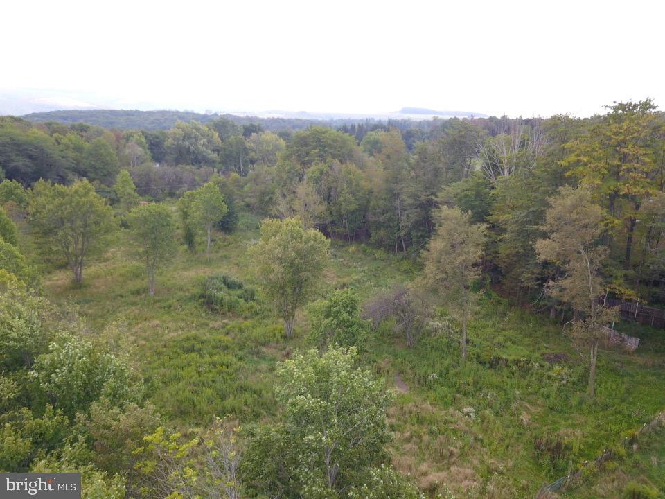 240 Brush Alley Property Photo 15