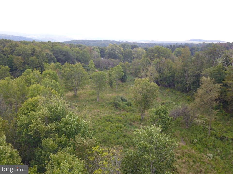 240 Brush Alley Property Photo 19