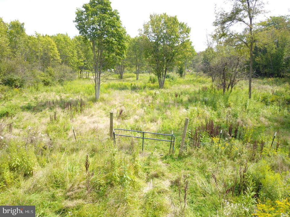 240 Brush Alley Property Photo 23
