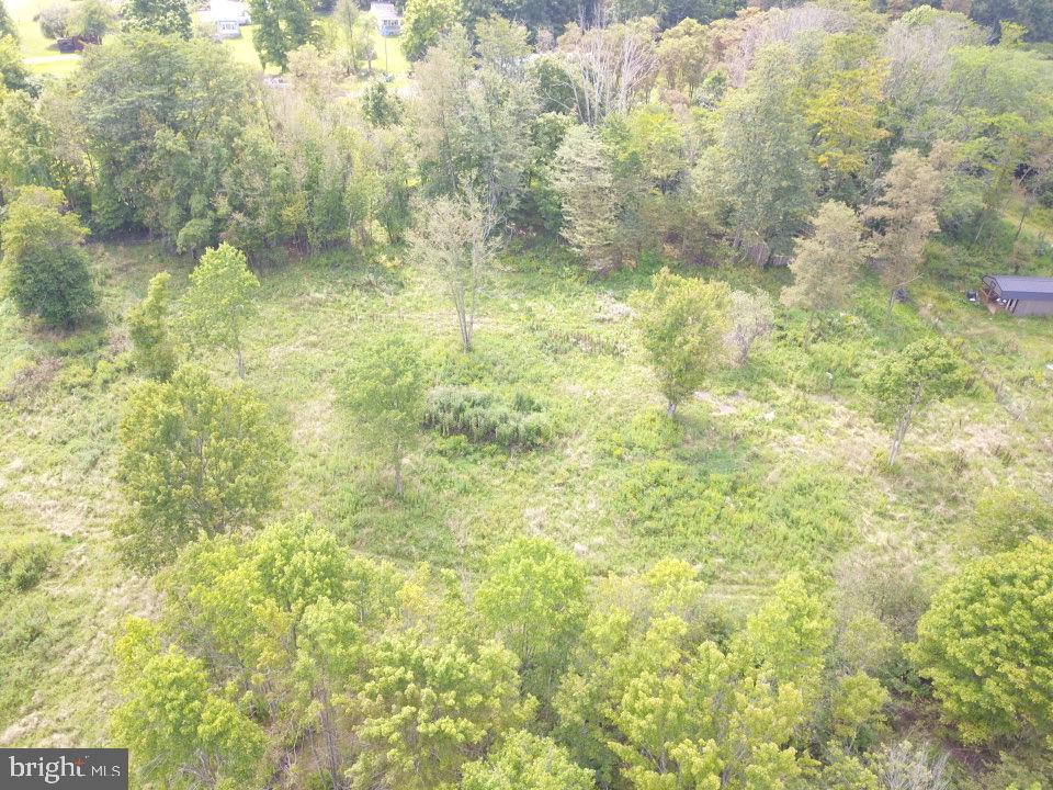 240 Brush Alley Property Photo 25
