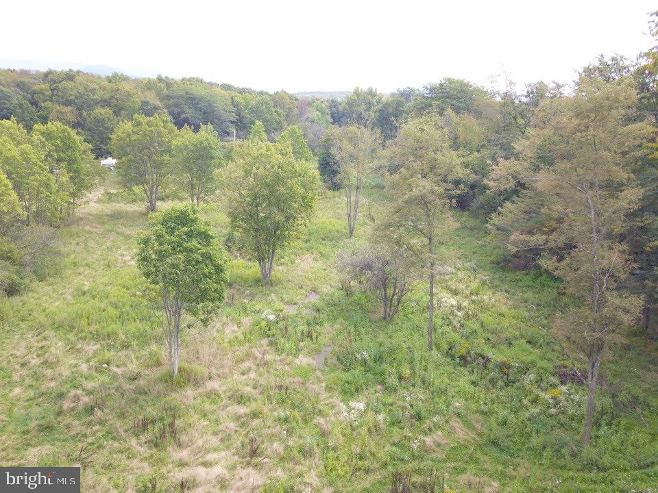 240 Brush Alley Property Photo 26