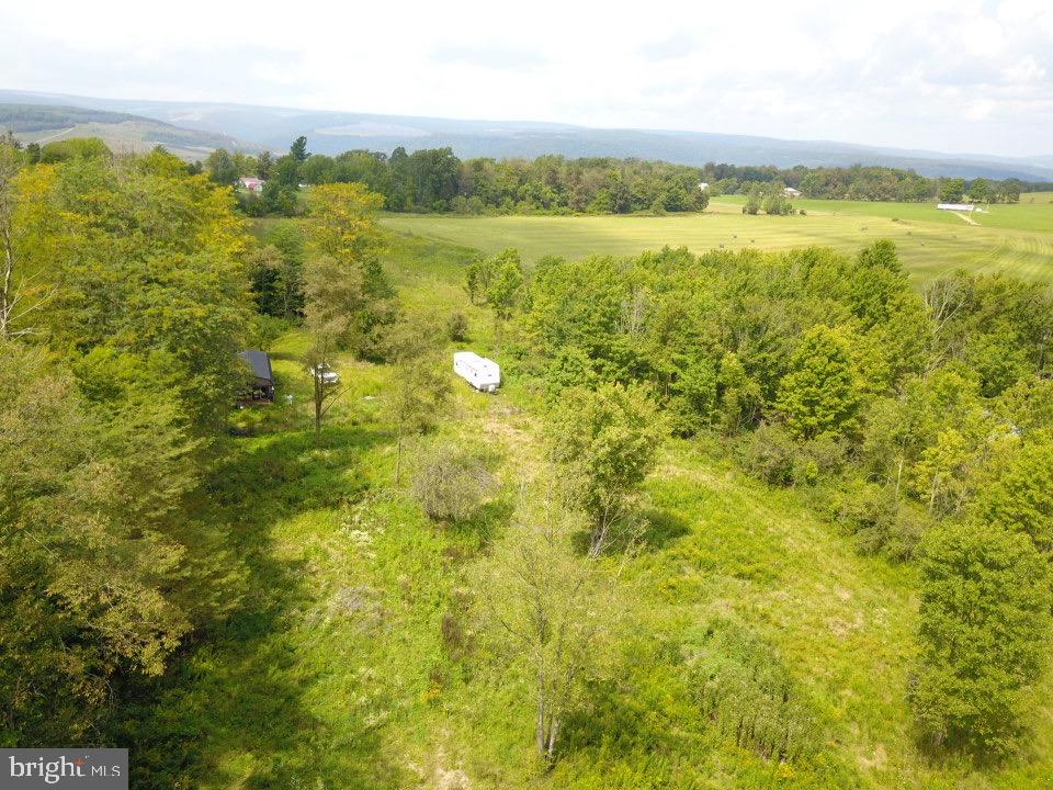 240 Brush Alley Property Photo 28