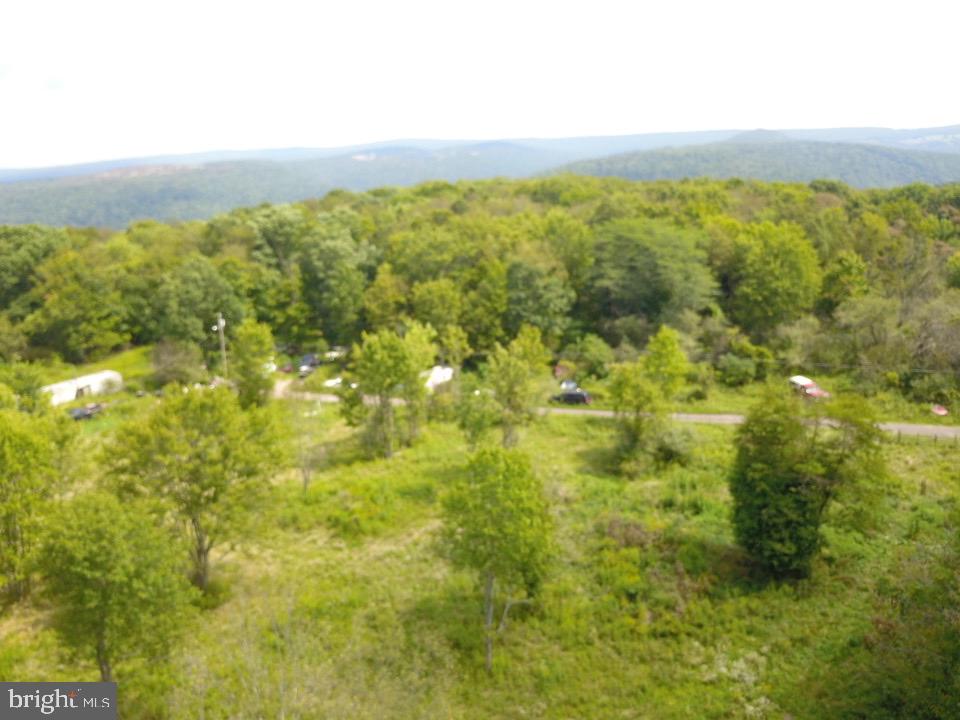 240 Brush Alley Property Photo 29