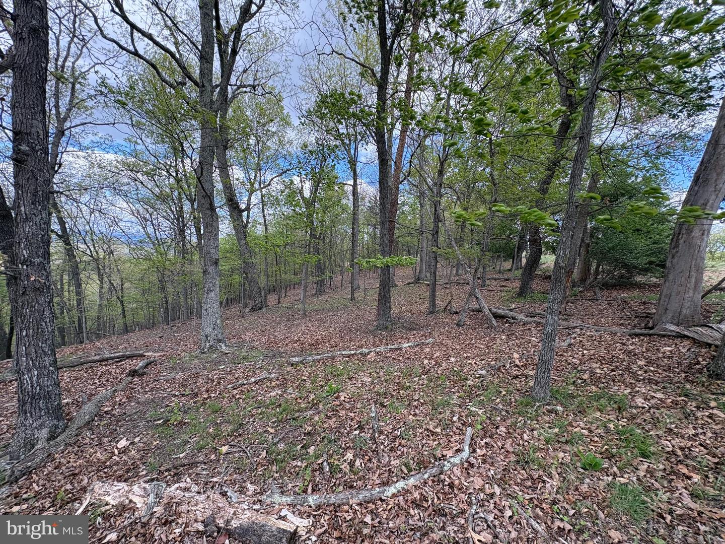 10 Ac Moon Ridge Ln Property Photo 1