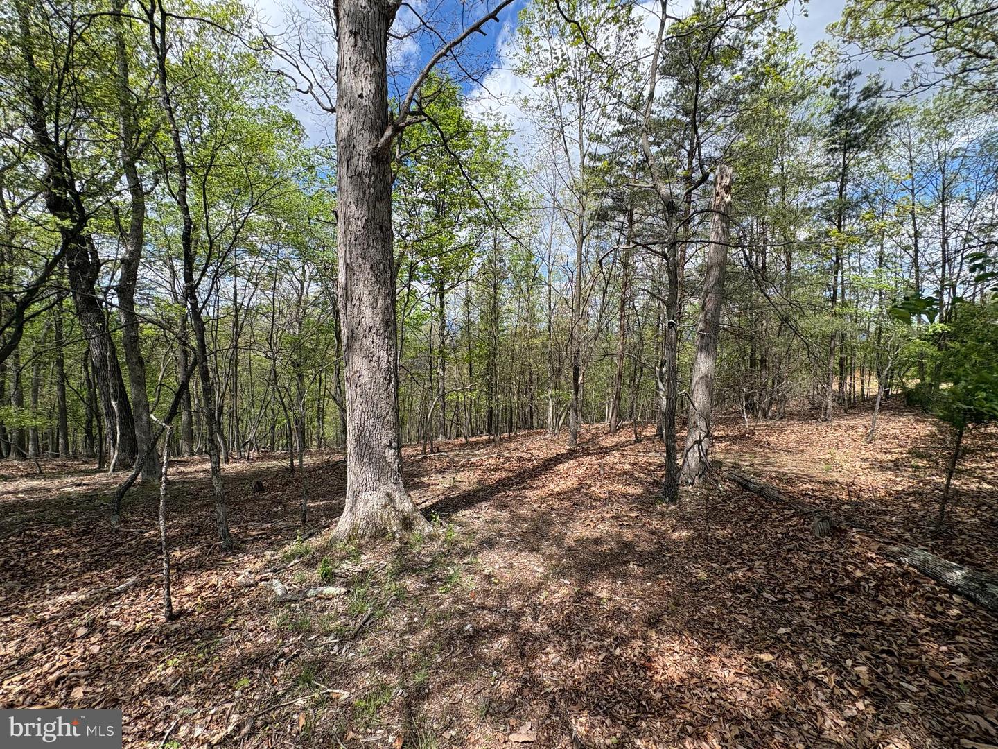 10 Ac Moon Ridge Ln Property Photo 2