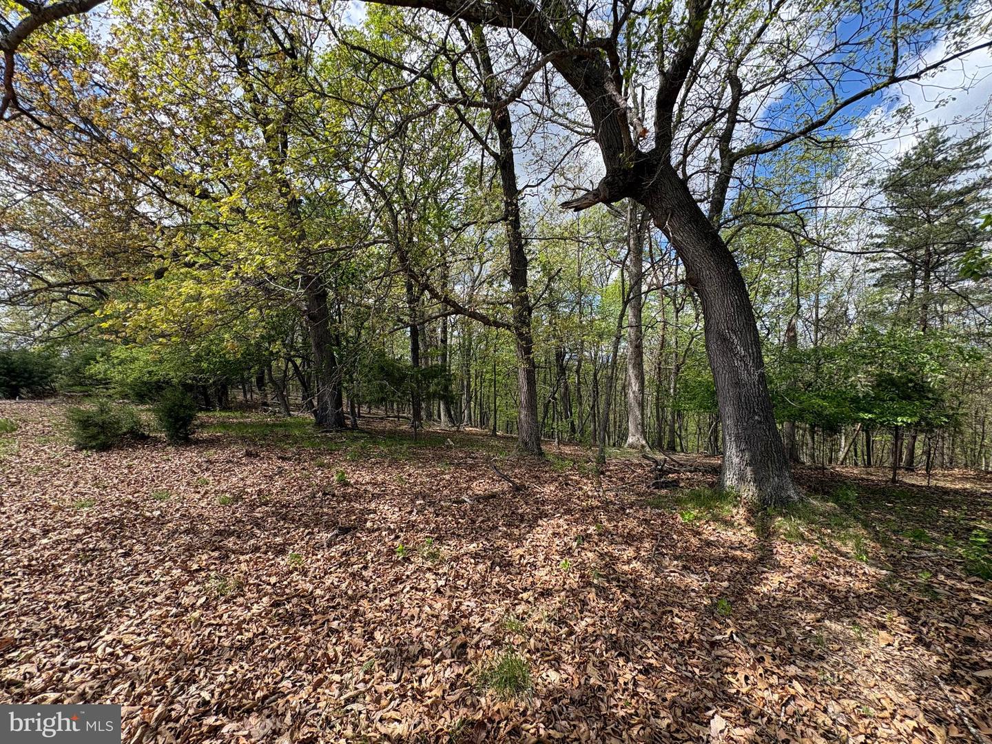 10 Ac Moon Ridge Ln Property Photo 4