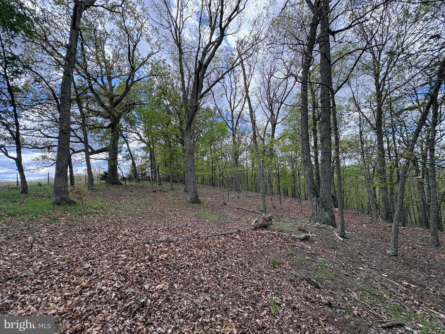 10 Ac Moon Ridge Ln Property Photo 5