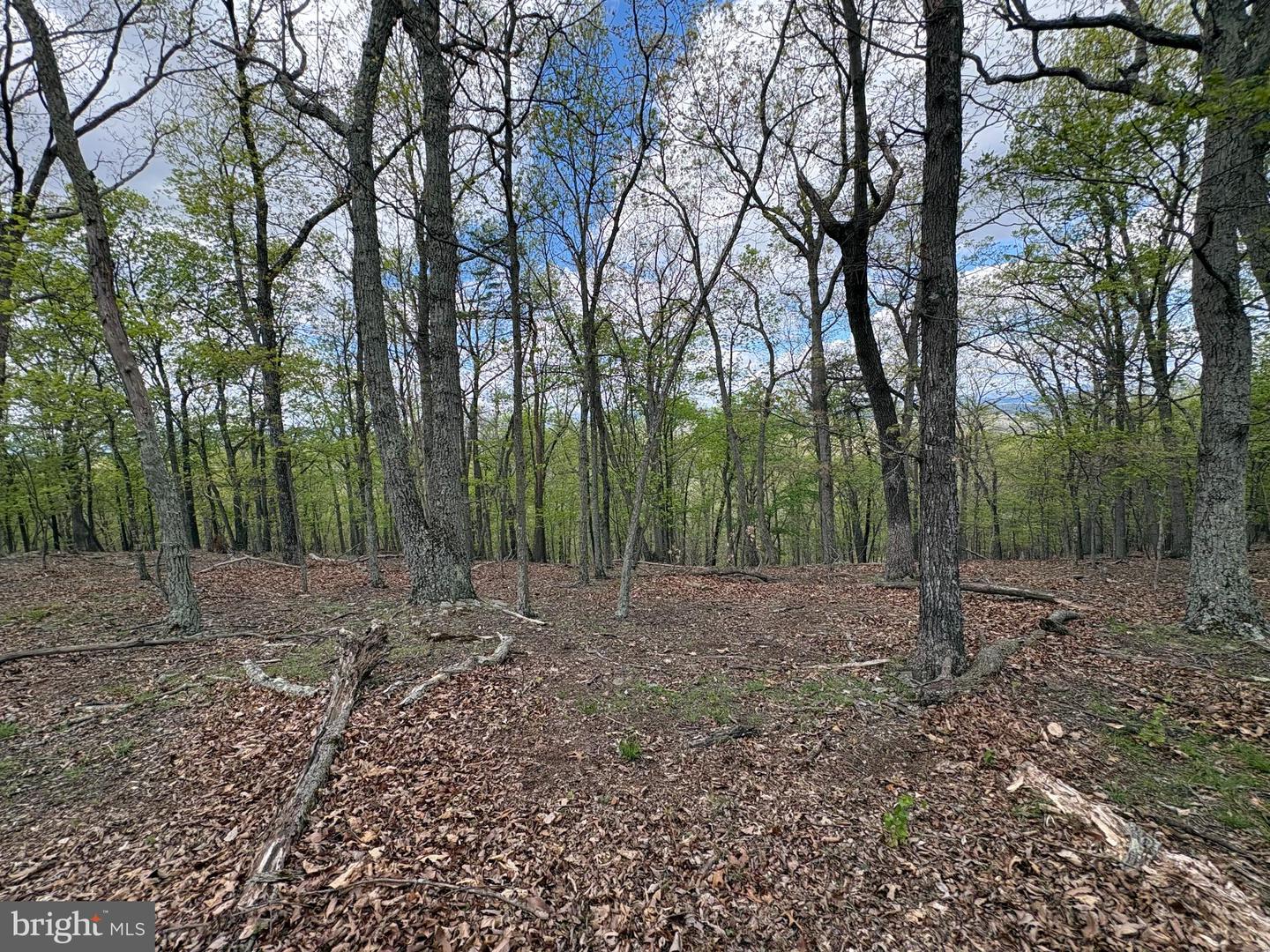 10 Ac Moon Ridge Ln Property Photo 6