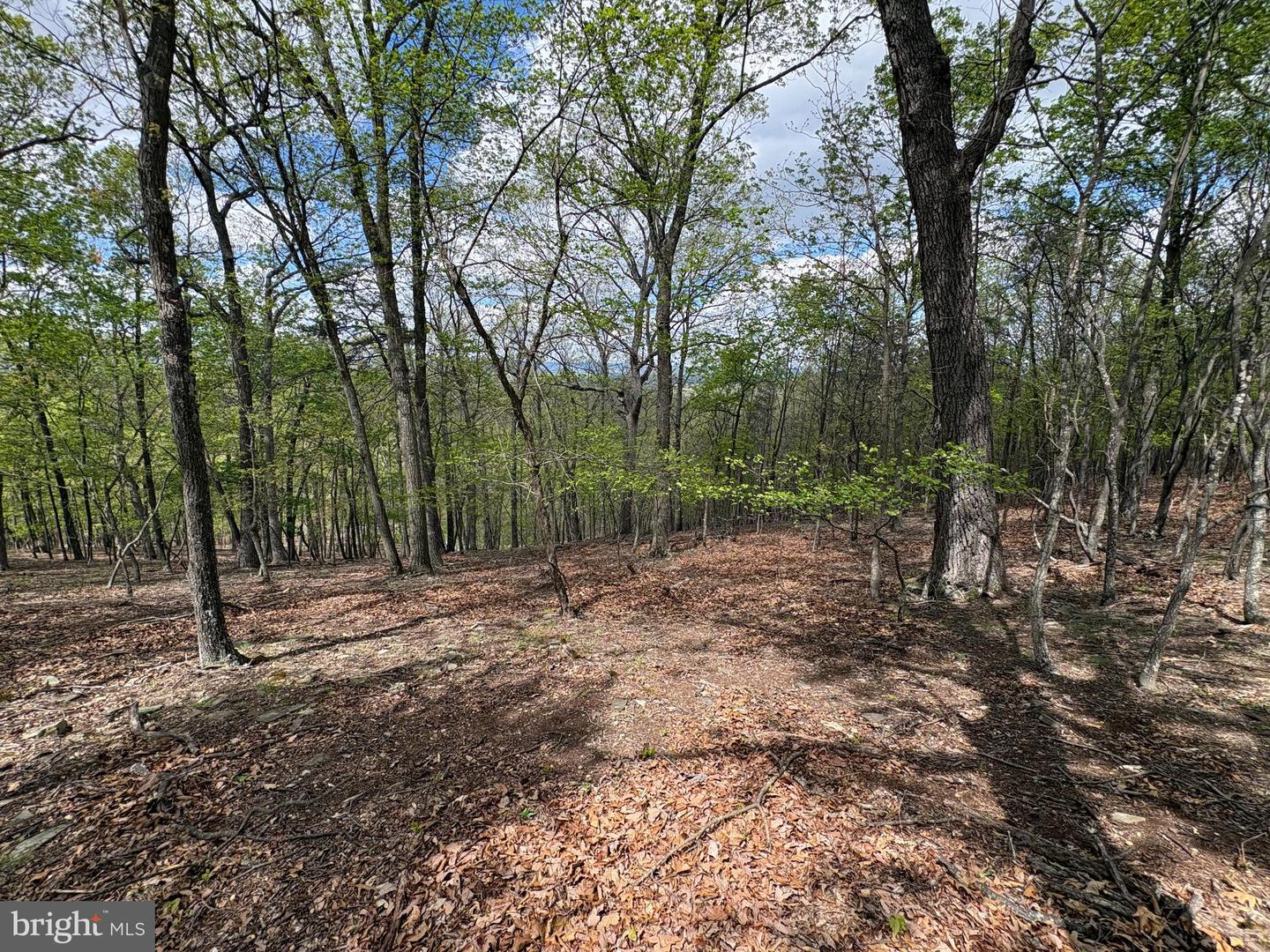 10 Ac Moon Ridge Ln Property Photo 7