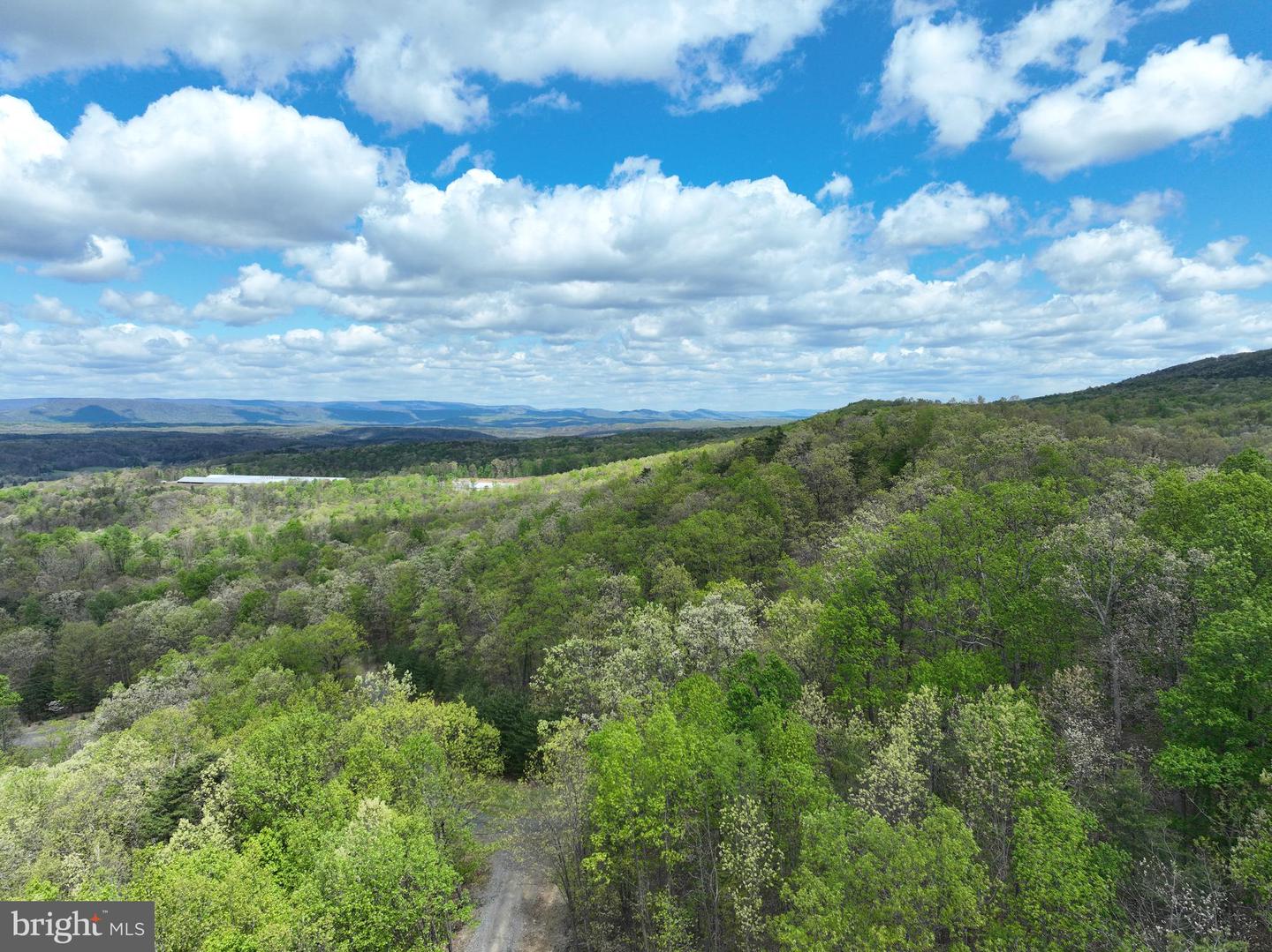 10 Ac Moon Ridge Ln Property Photo 8
