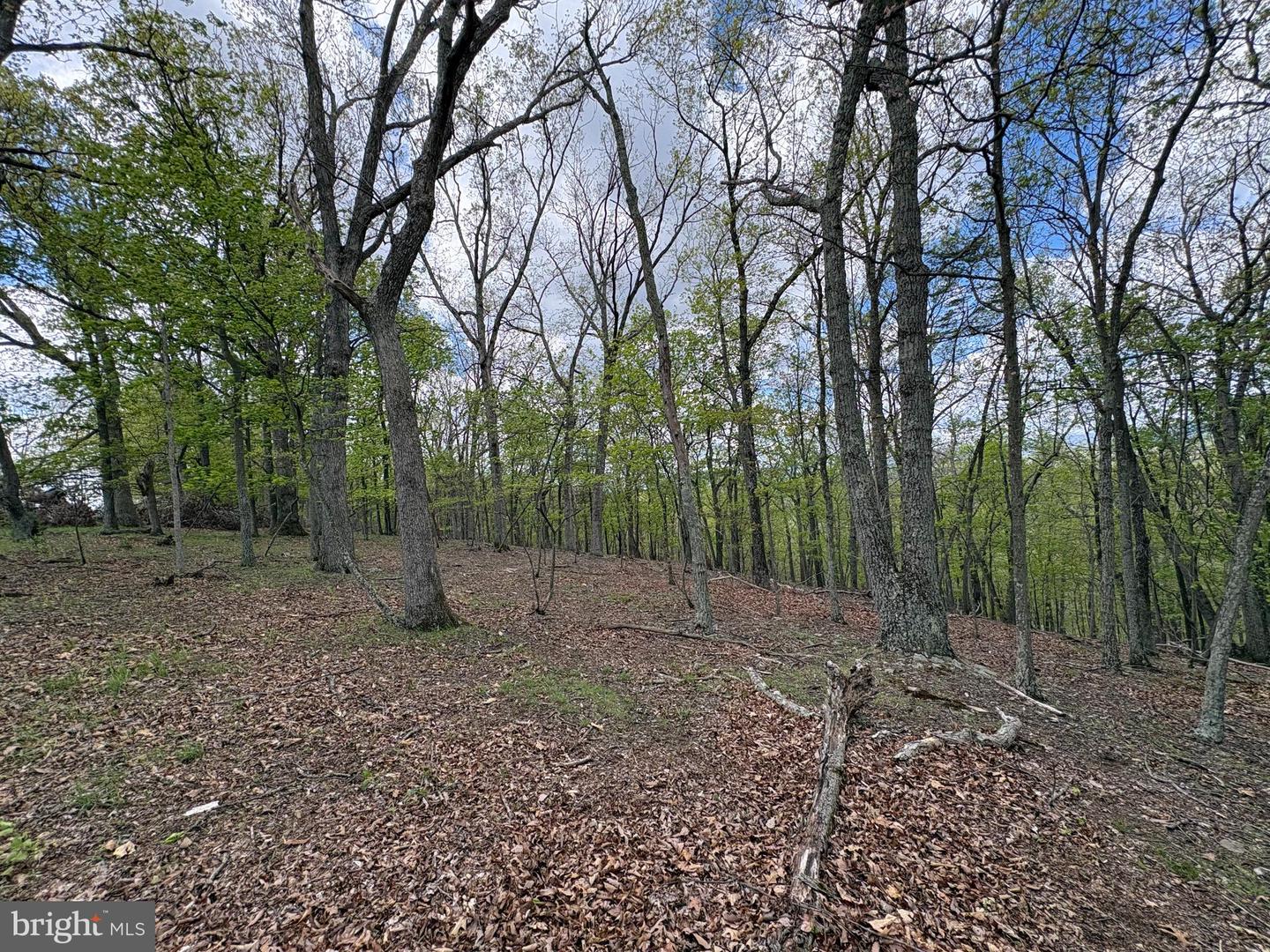 10 Ac Moon Ridge Ln Property Photo 10