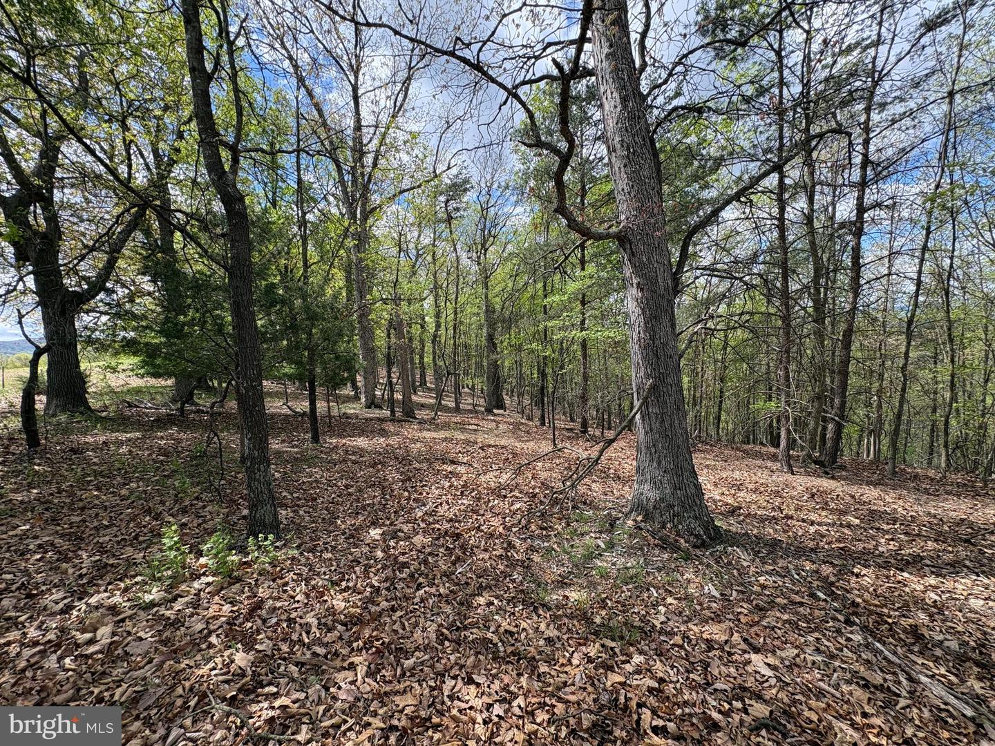 10 Ac Moon Ridge Ln Property Photo 11