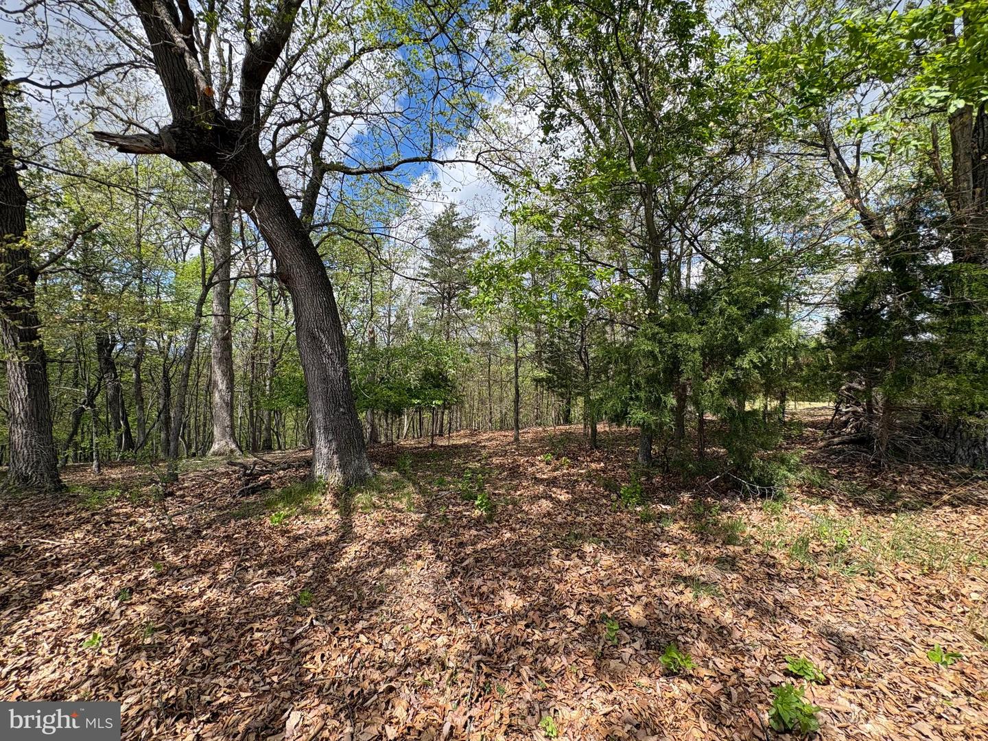 10 Ac Moon Ridge Ln Property Photo 12