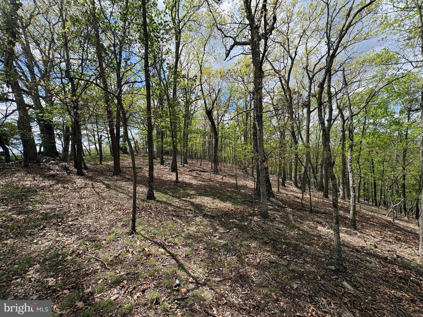 10 Ac Moon Ridge Ln Property Photo 13