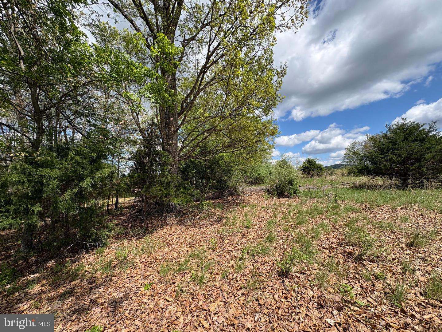 10 Ac Moon Ridge Ln Property Photo 14