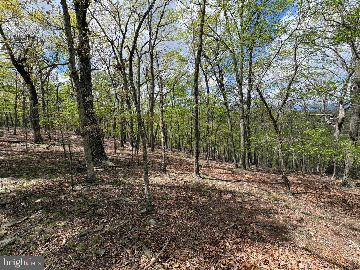 10 Ac Moon Ridge Ln Property Photo 18