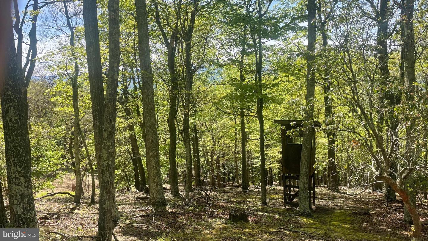 133.944 Acres Russelldale Rd Property Photo 14