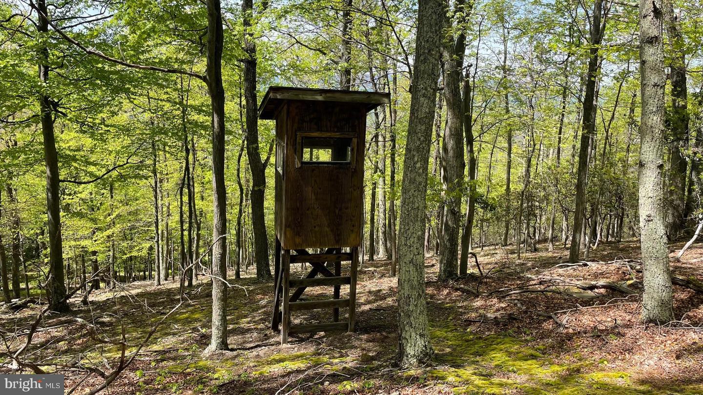 133.944 Acres Russelldale Rd Property Photo 15