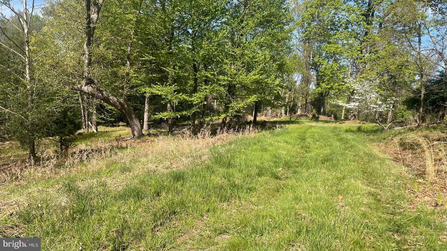133.944 Acres Russelldale Rd Property Photo 17