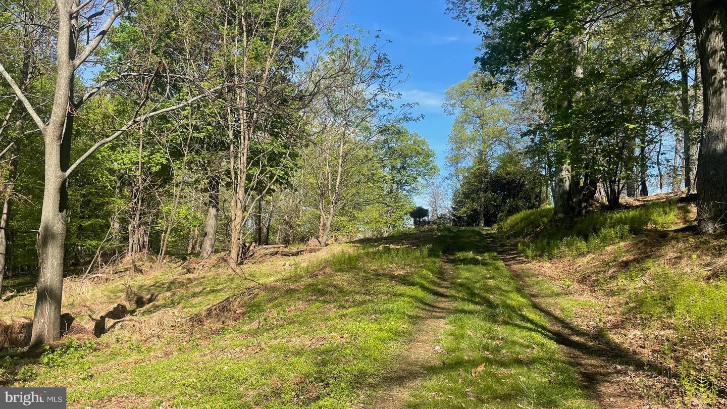 133.944 Acres Russelldale Rd Property Photo 18