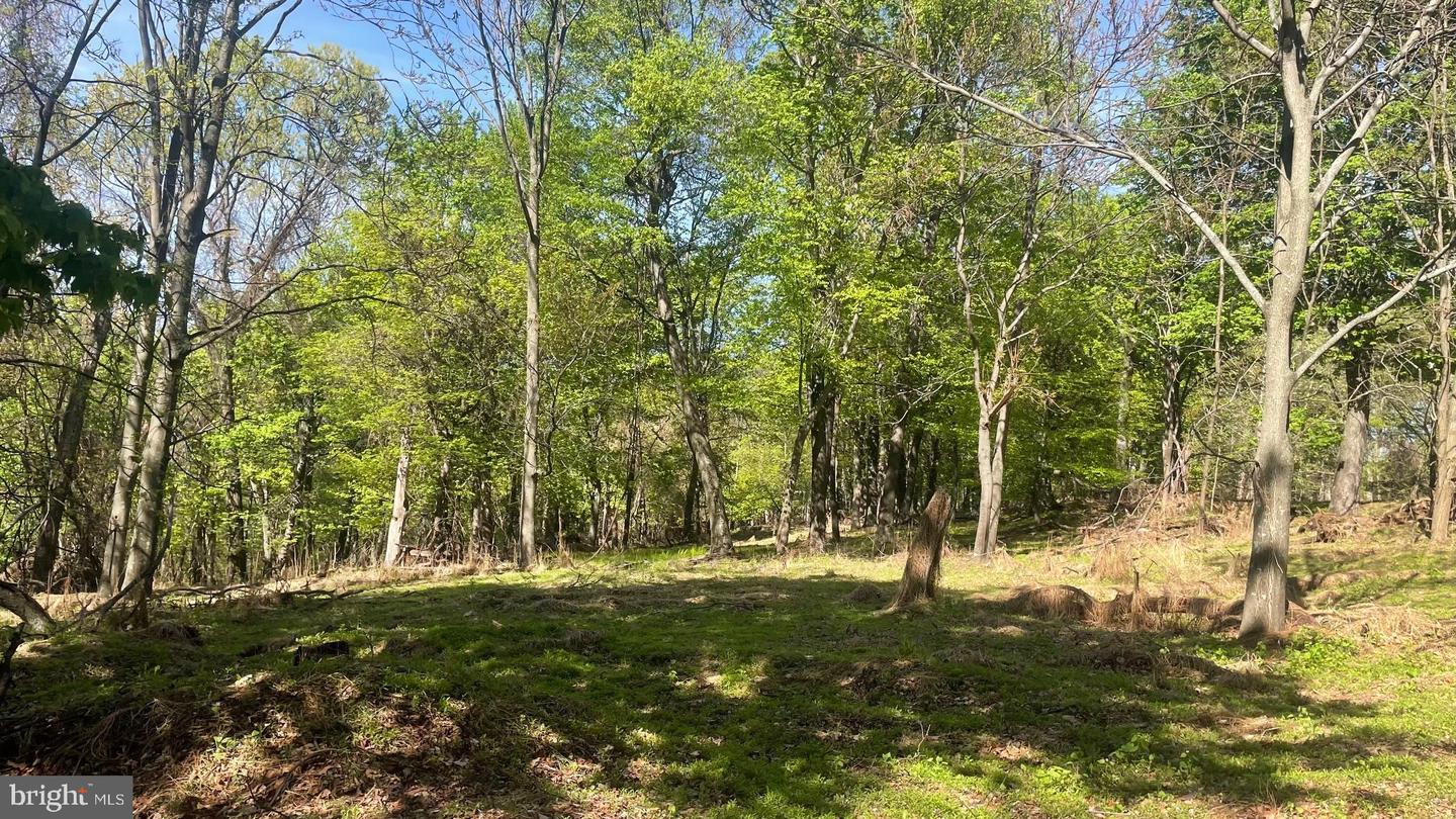 133.944 Acres Russelldale Rd Property Photo 19