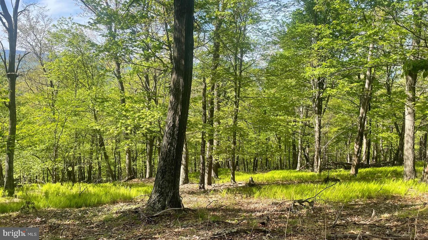 133.944 Acres Russelldale Rd Property Photo 20