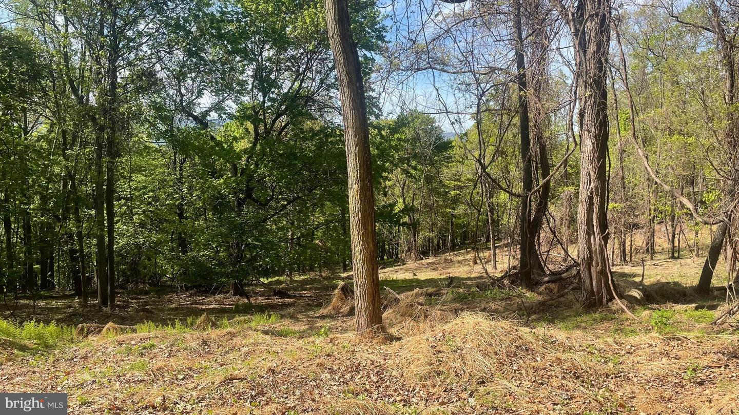 133.944 Acres Russelldale Rd Property Photo 21
