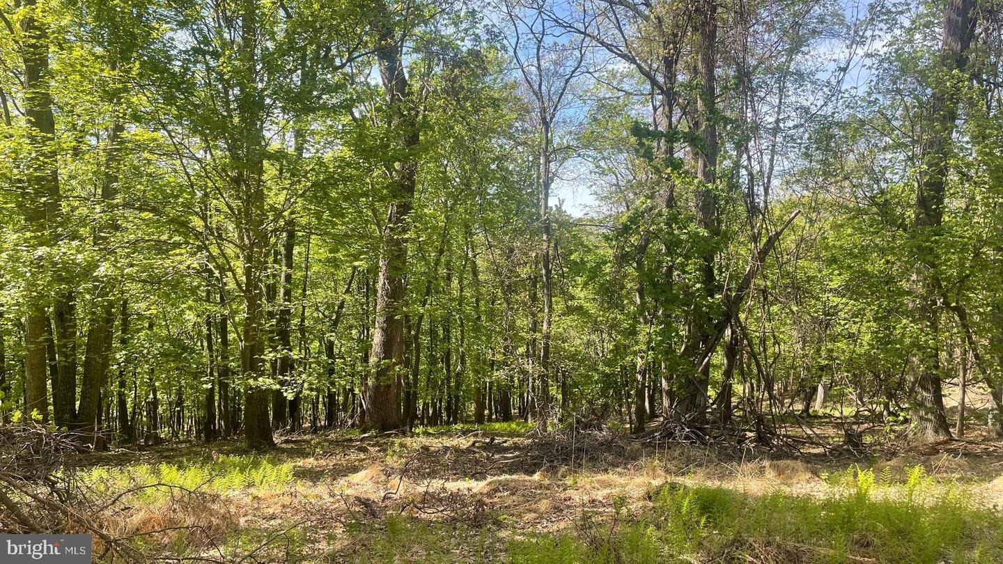 133.944 Acres Russelldale Rd Property Photo 22