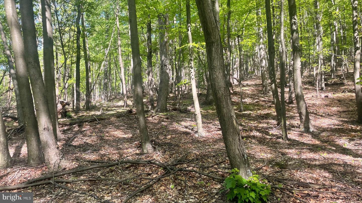 133.944 Acres Russelldale Rd Property Photo 23