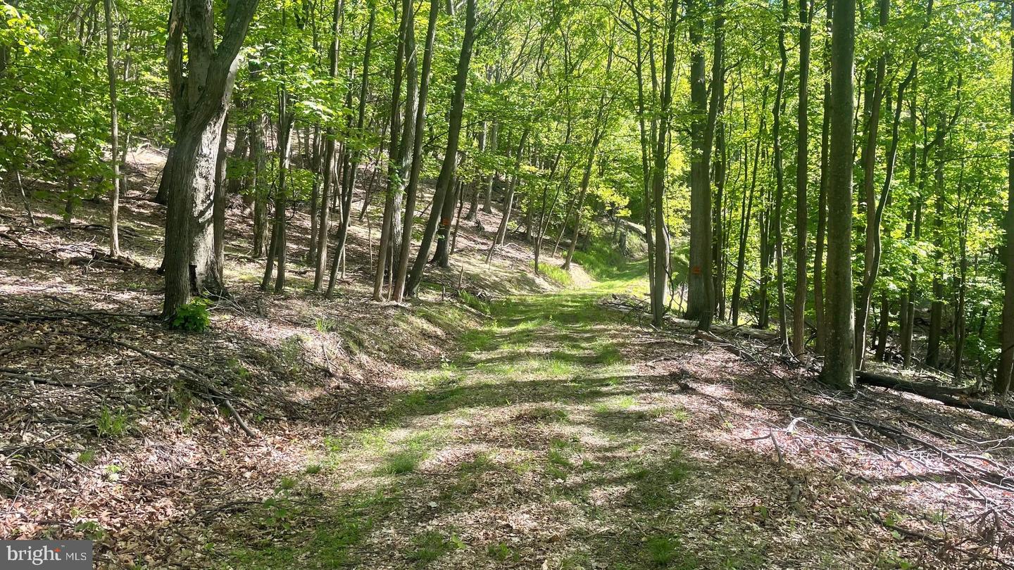 133.944 Acres Russelldale Rd Property Photo 24