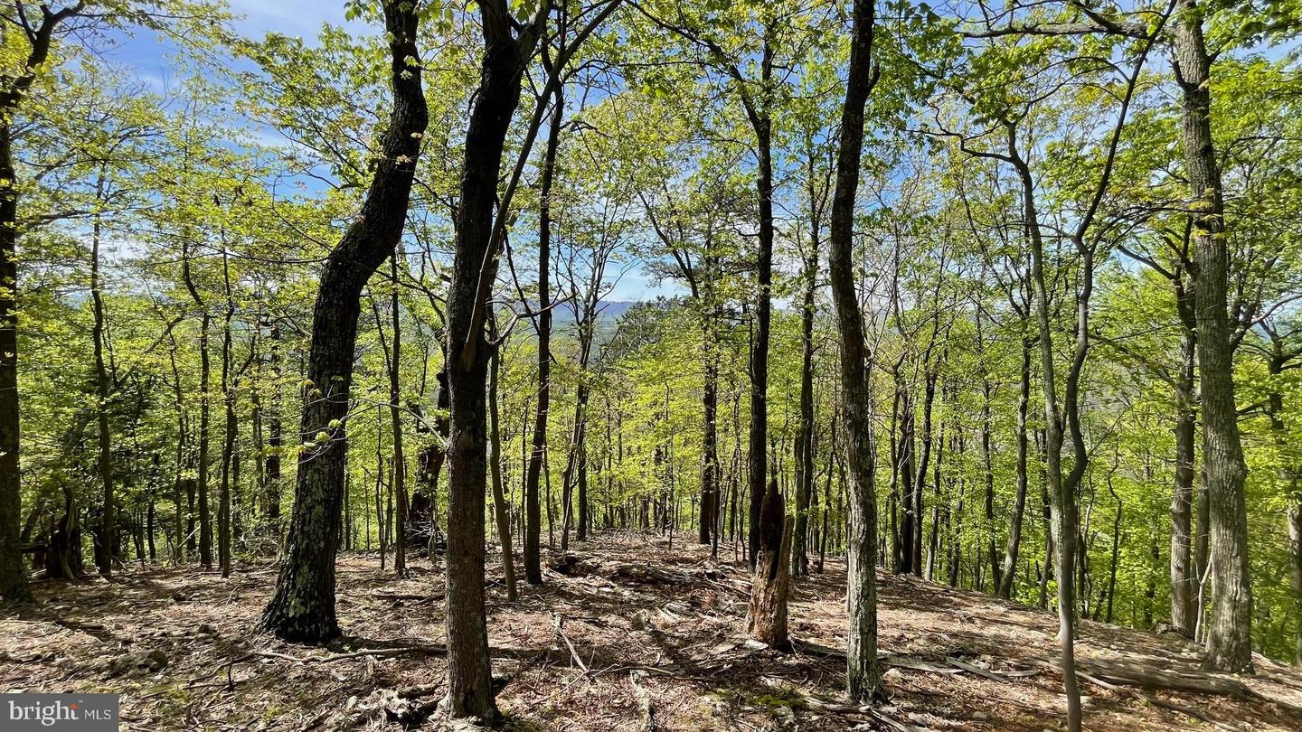 133.944 Acres Russelldale Rd Property Photo 25