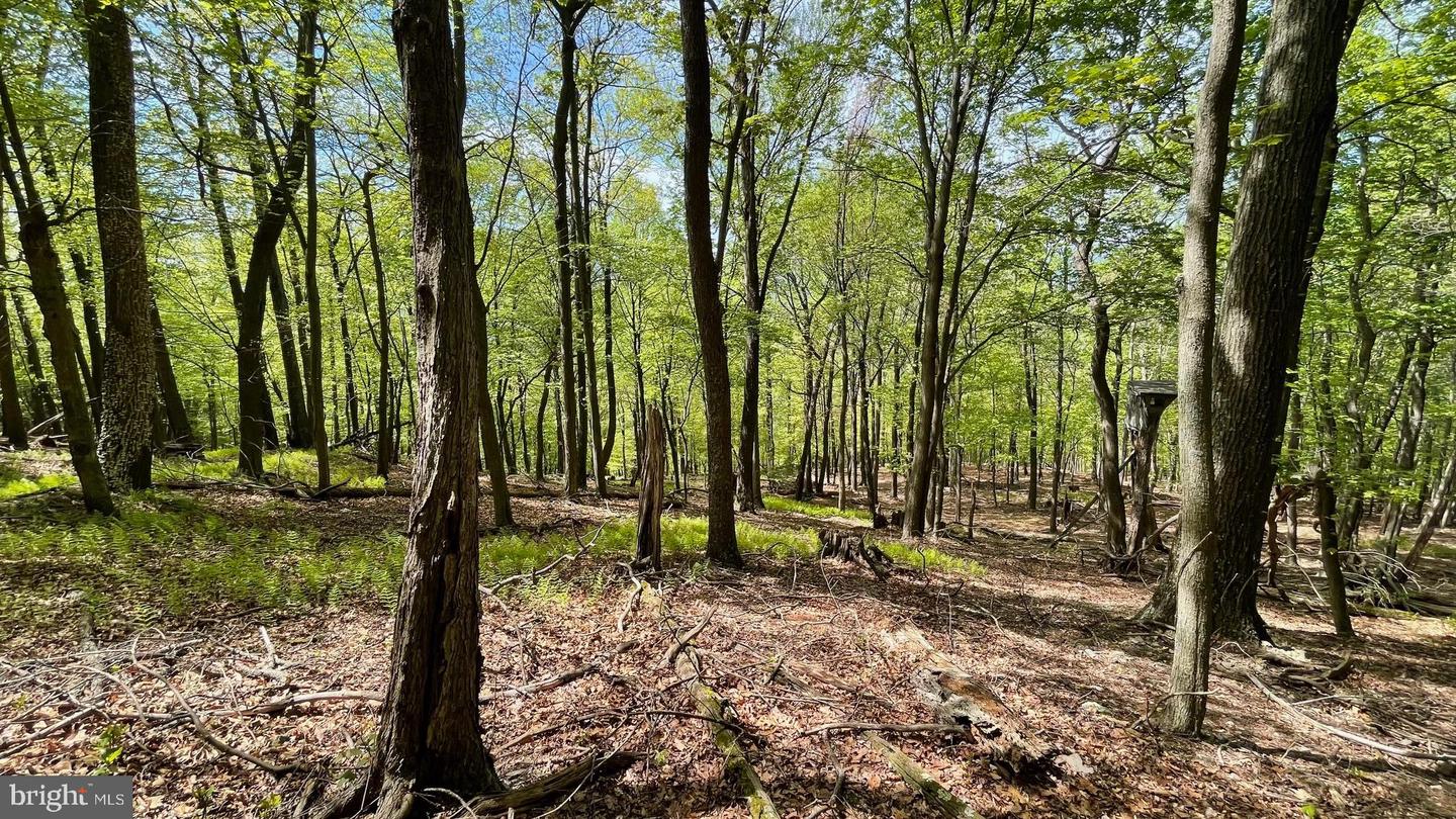 133.944 Acres Russelldale Rd Property Photo 26