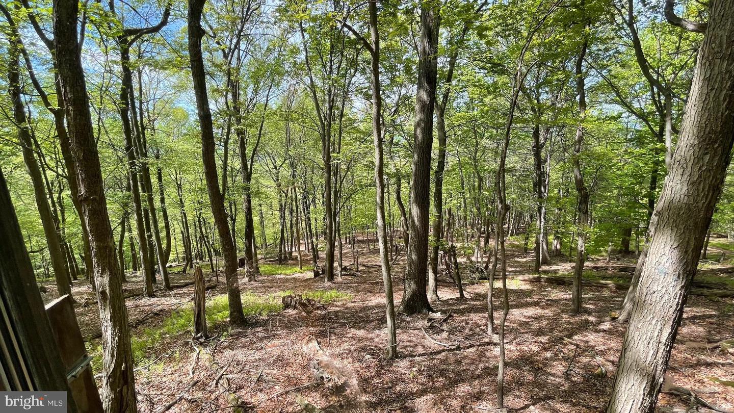 133.944 Acres Russelldale Rd Property Photo 27