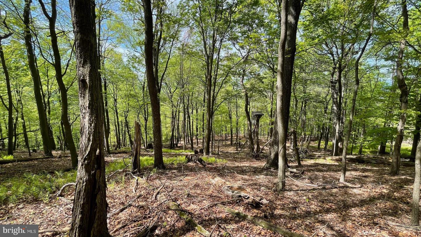 133.944 Acres Russelldale Rd Property Photo 28