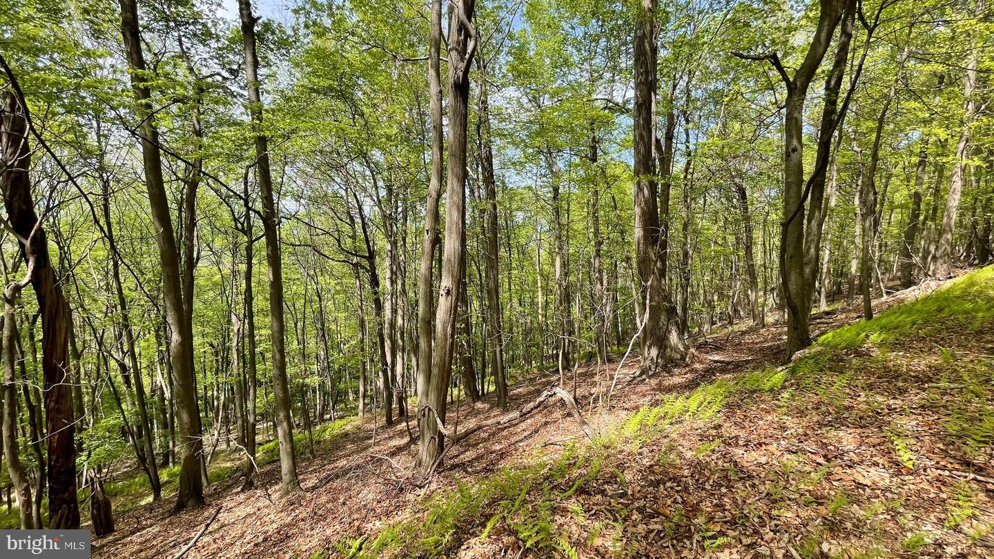 133.944 Acres Russelldale Rd Property Photo 29