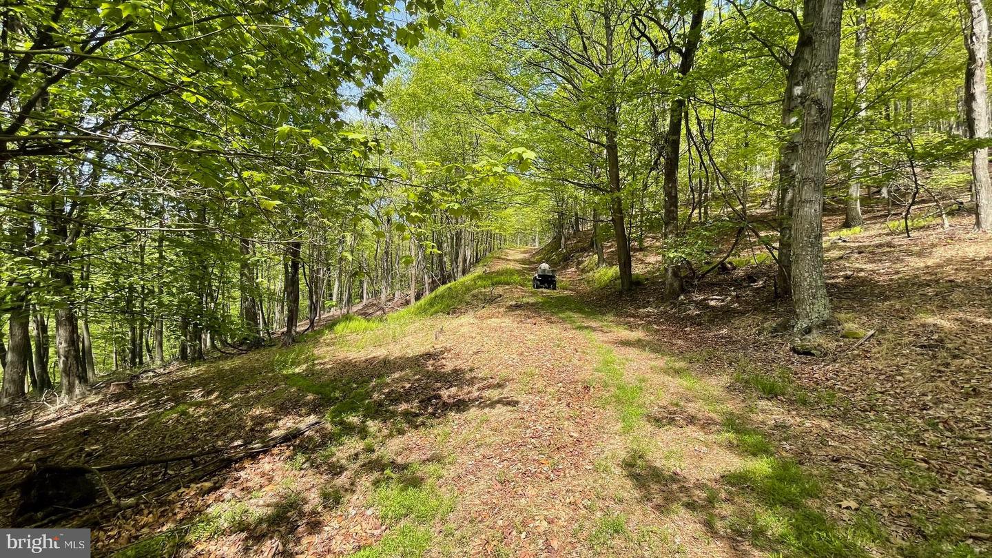 133.944 Acres Russelldale Rd Property Photo 30