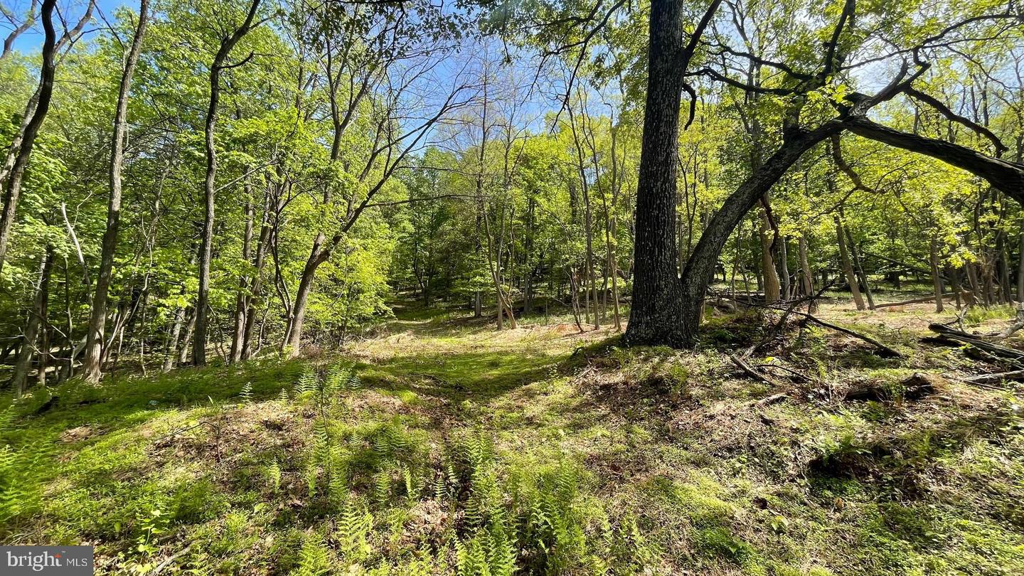 133.944 Acres Russelldale Rd Property Photo 31