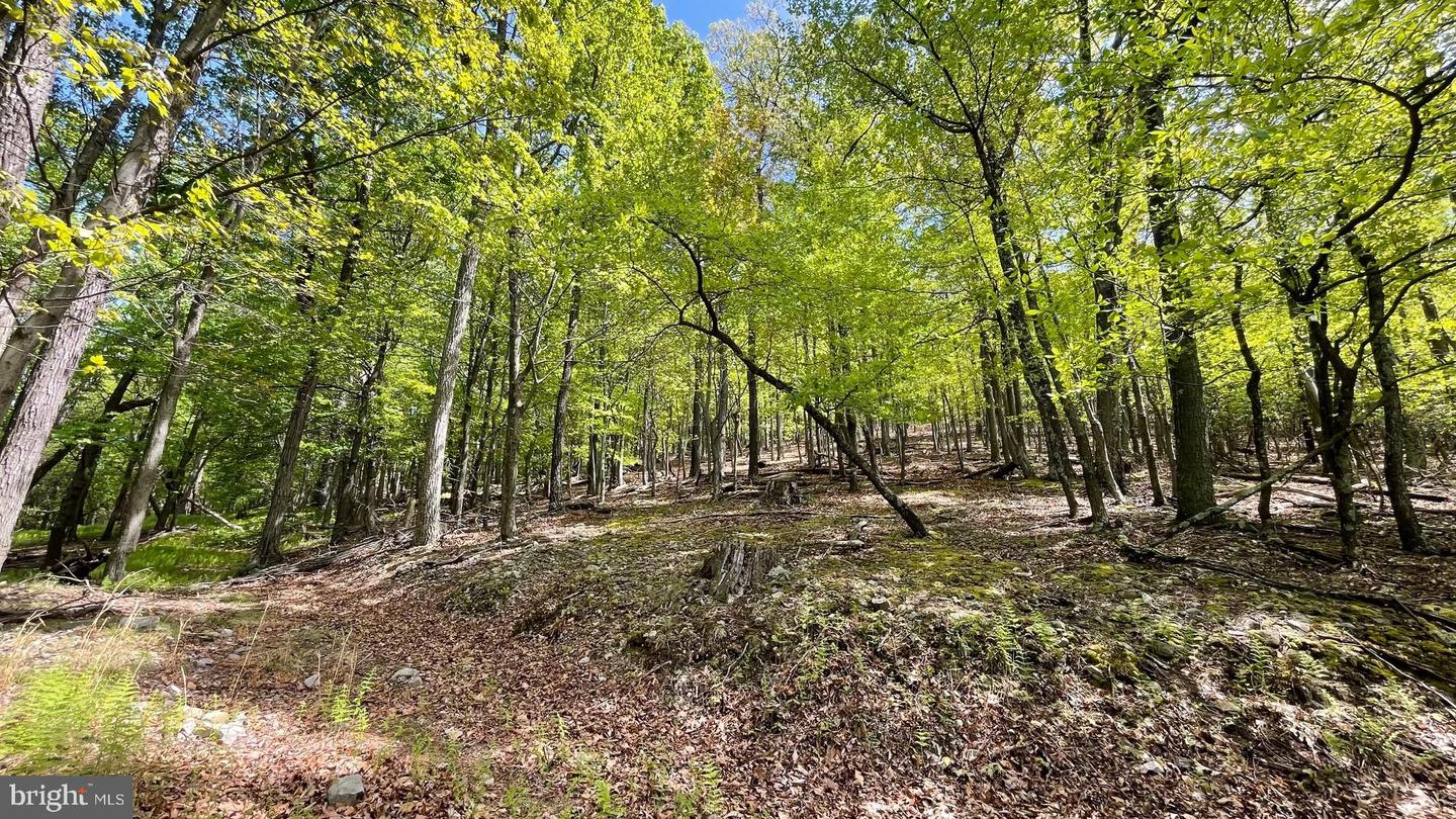 133.944 Acres Russelldale Rd Property Photo 32