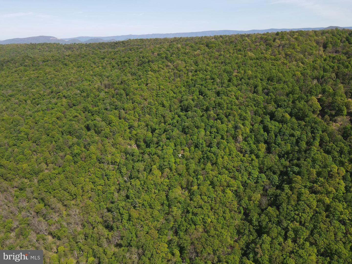 133.944 Acres Russelldale Rd Property Photo 33