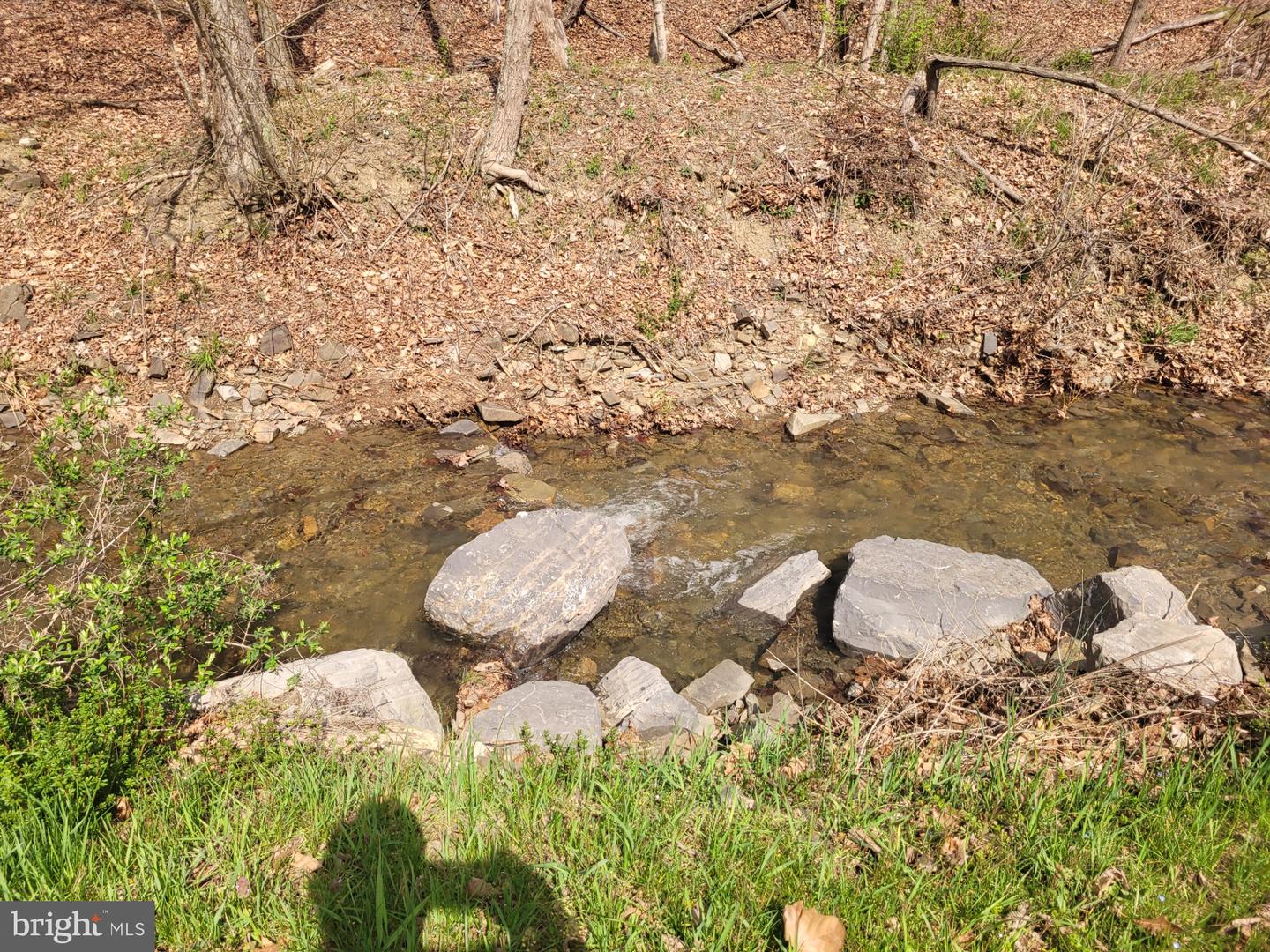 1224 Dry Run Rd Property Photo 37